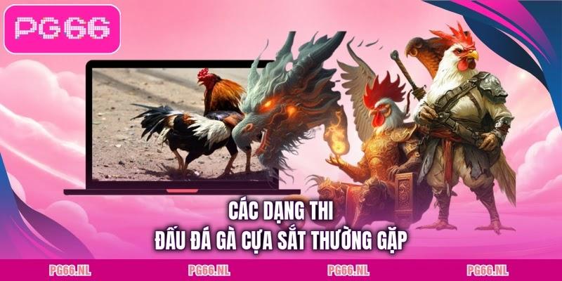 Các dạng thi đấu đá gà cựa sắt thường gặp