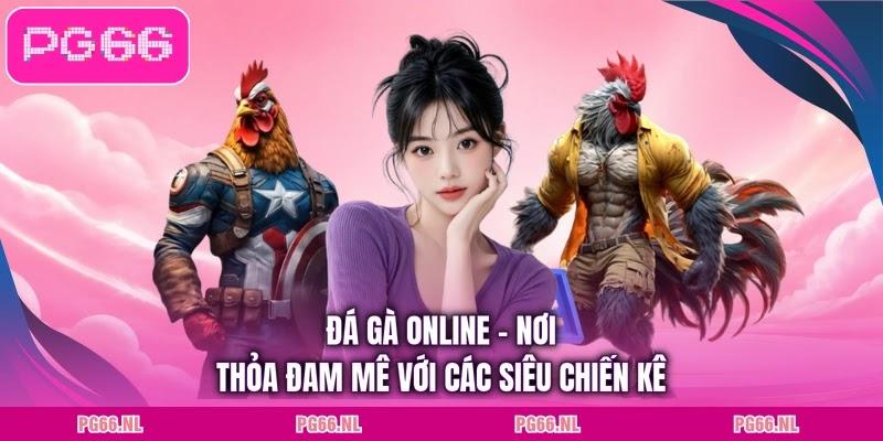 Đá Gà Online - Nơi Thỏa Đam Mê Với Các Siêu Chiến Kê