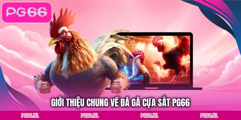 Giới thiệu chung về đá gà cựa sắt PG66