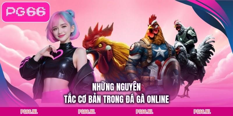Những nguyên tắc cơ bản trong đá gà online