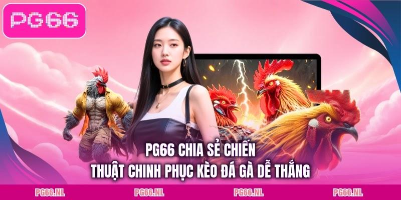PG66 chia sẻ chiến thuật chinh phục kèo đá gà dễ thắng