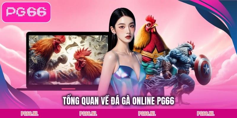 Tổng quan về đá gà online PG66
